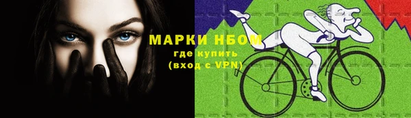 стаф Волоколамск