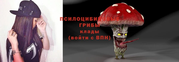 стаф Волоколамск