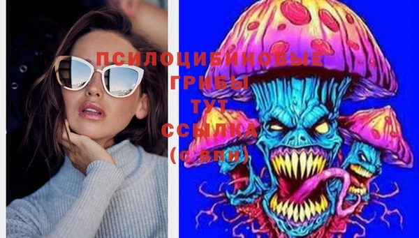 МДПВ Володарск